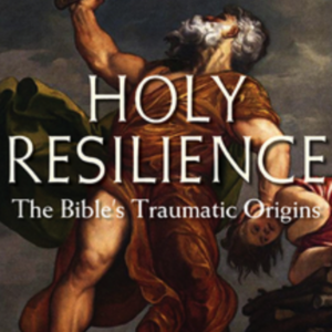 cover of holy resilience by david carr