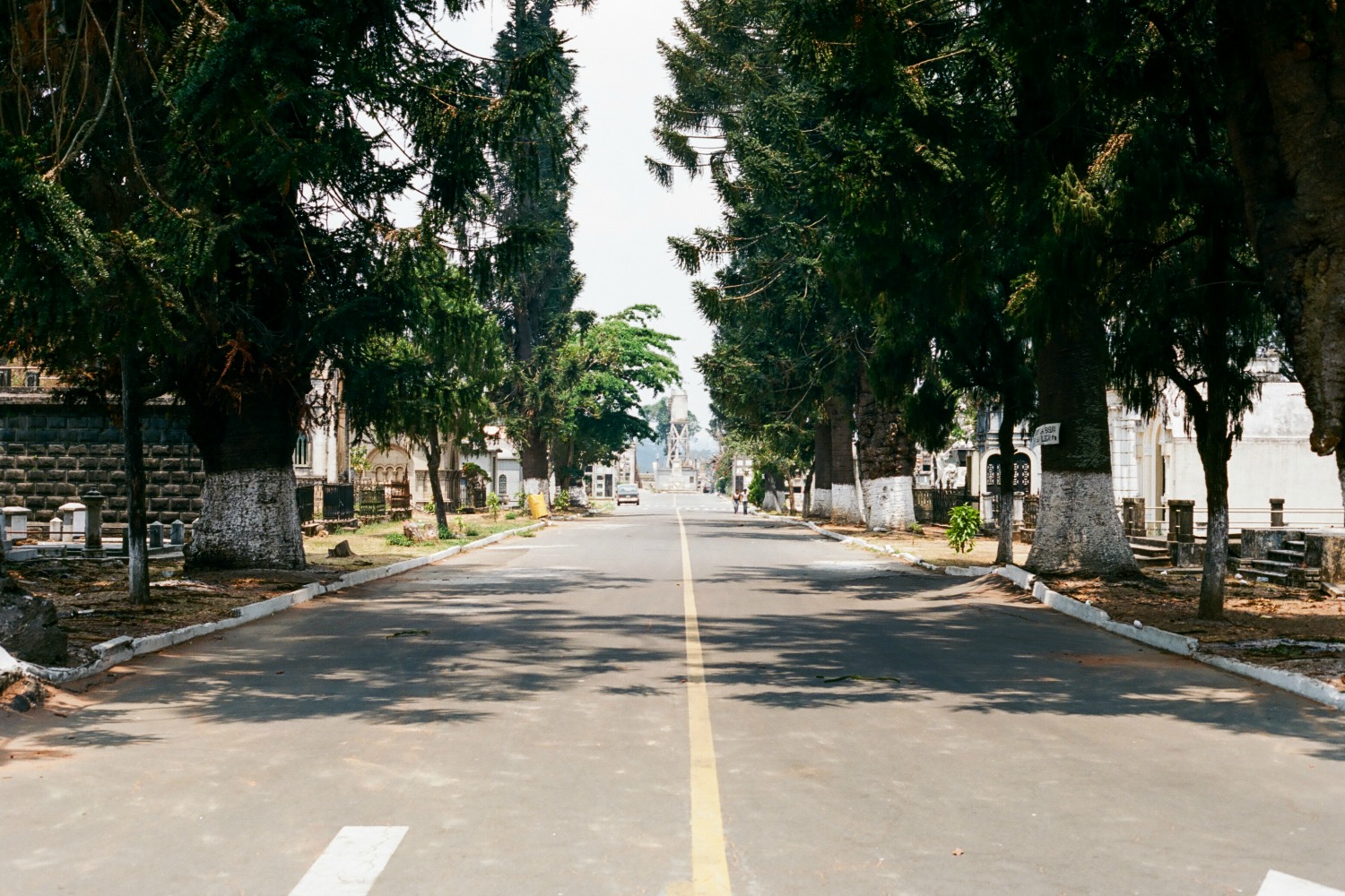 Guatemala Street