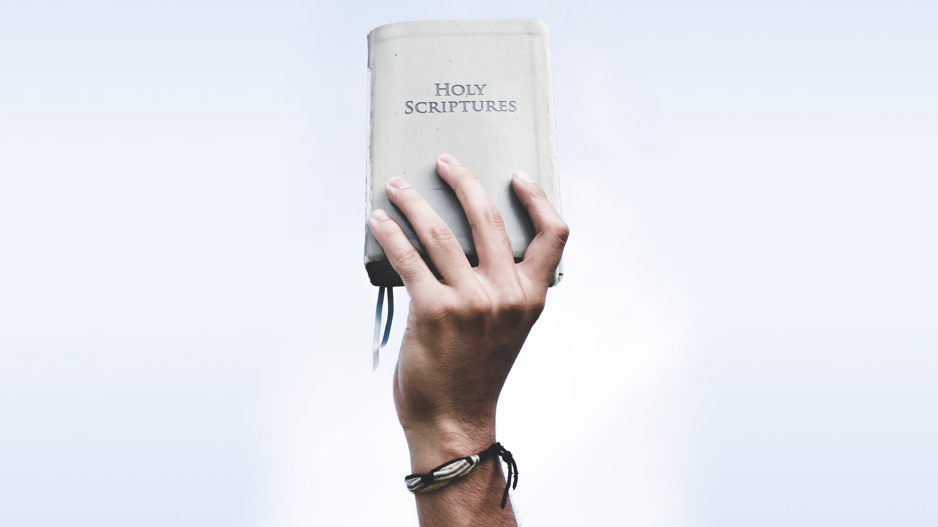 Holy Scripture - Take Back the Text - Angela Parker