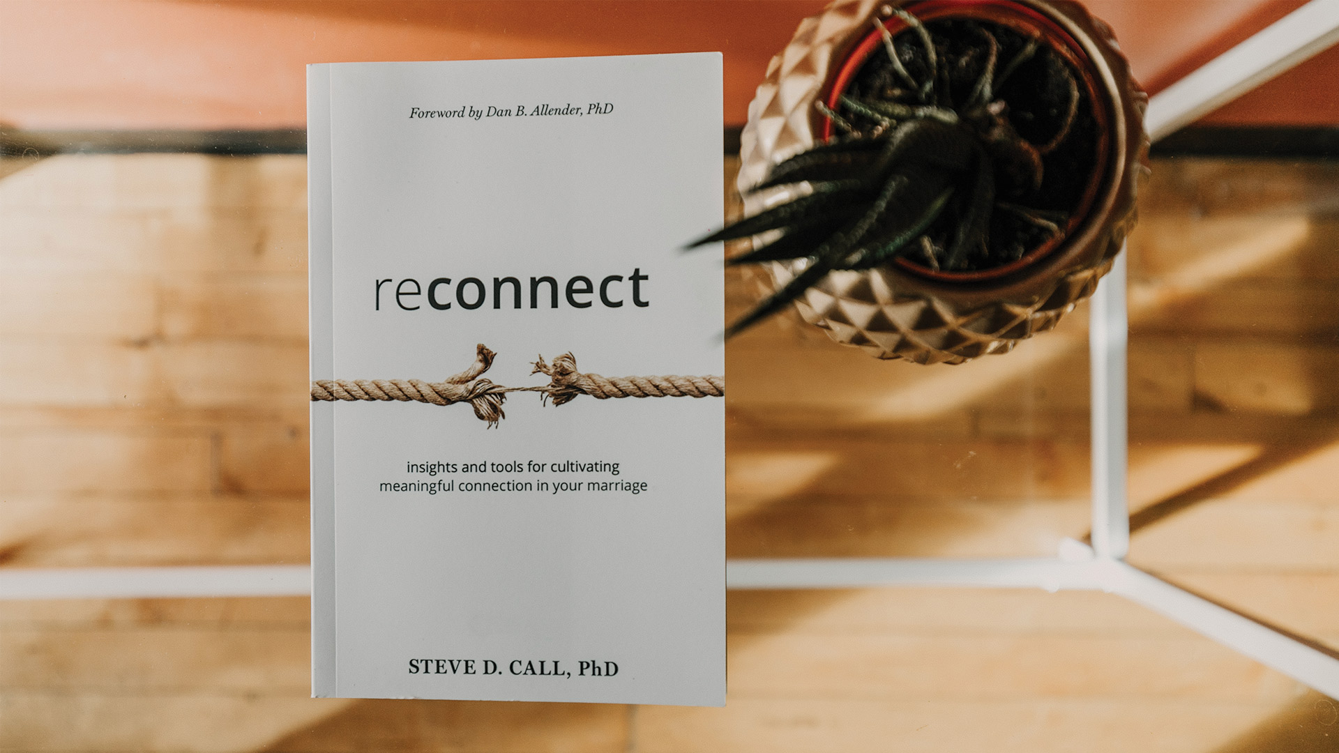 reconnect-book-release-steve-call